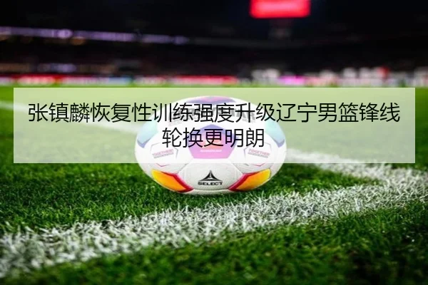 张镇麟恢复性训练强度升级辽宁男篮锋线轮换更明朗 | JIU YOU
